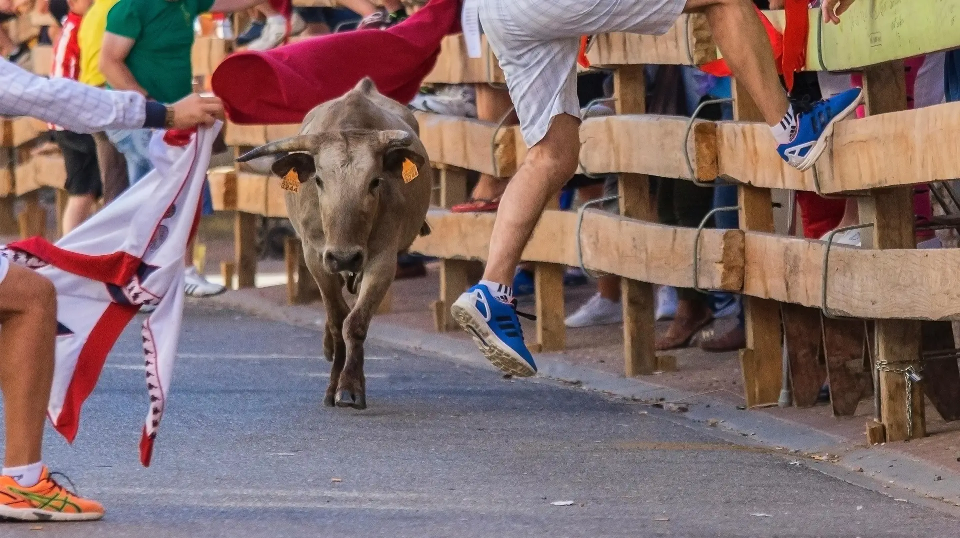 Pamplona Bull run