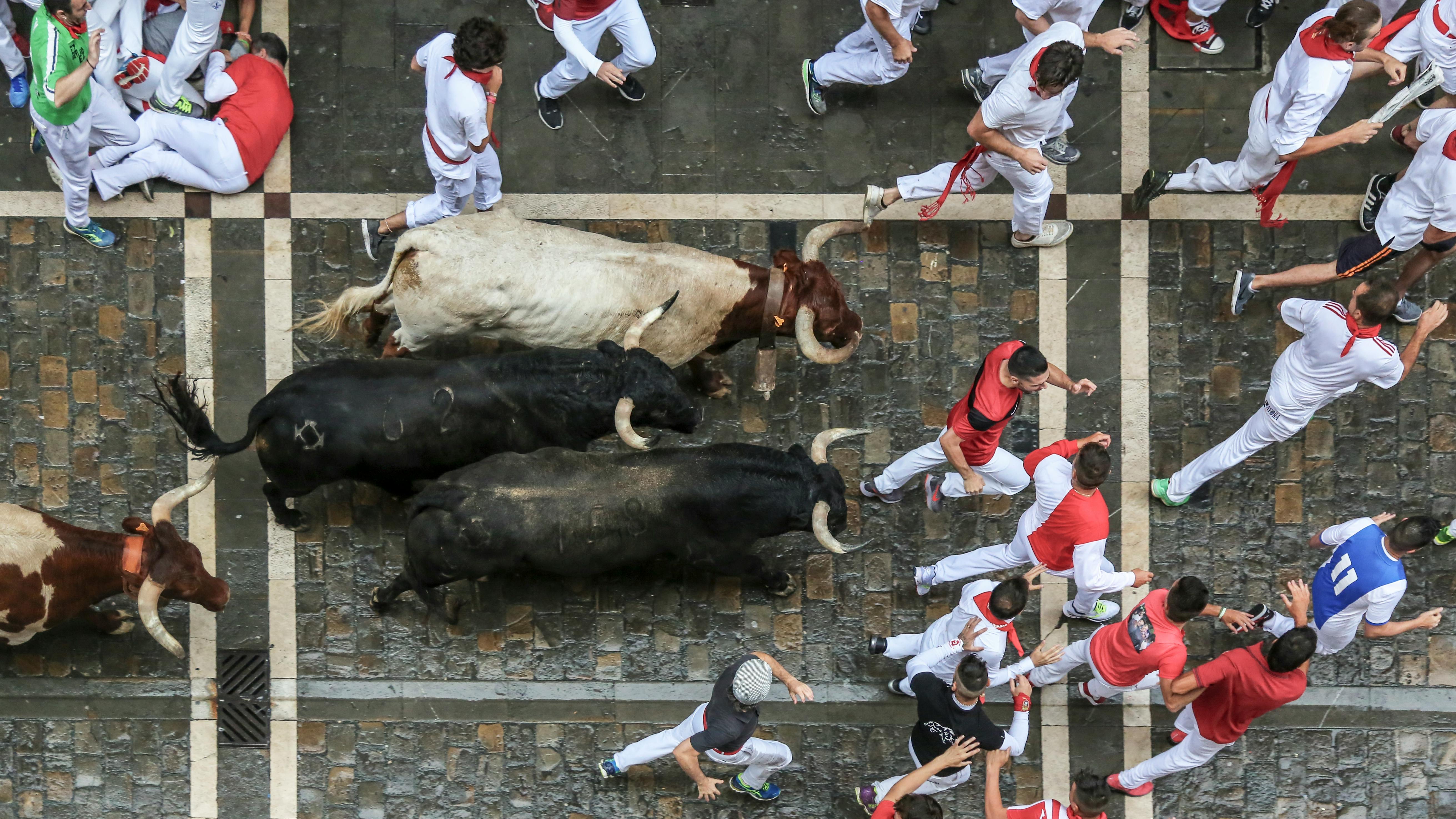 Bull Run Pamplona Festival San Fermin