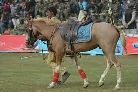 Shandur polo